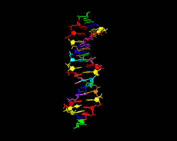 Synthetic DNA