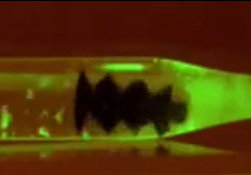 Robot clearing biofilm from a tube