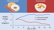 Ultra-processed Food