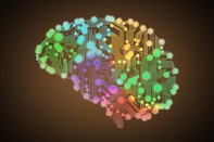 Graphic of brain with interconnected neurons in different colors, associated with June 2019 research spotlight article on What has happened to the 'golden rule'? Shifting moral rules and insights into social decision-making.