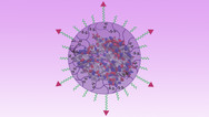 Gene-editing Nanocapsule