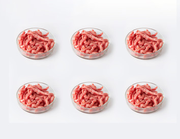 Minced meat in Petri dishes