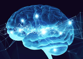 Human brain activity