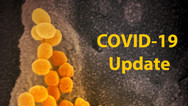 COVID-19 Vaccine Development