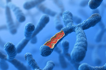 Illustration of chromosome and DNA