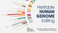Heritable Gene Editing
