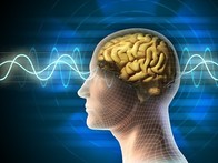 Brainwave activity connects experiences and expectations during memory recall