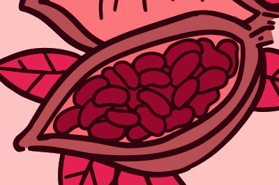 Illustration of a cocoa plant