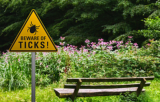A sign that says "Beware of Ticks!" next to a park bench.