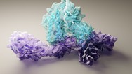 AI Predicts Protein Folding