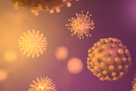 3D rendering of different types of viruses