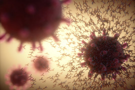 Illustration of antibodies attacking SARS-CoV-2