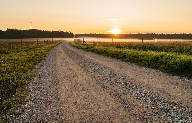 A gravel road in a rural area during sunset.