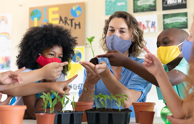 A teacher and students in a classroom wearing masks and looking at seedlings.