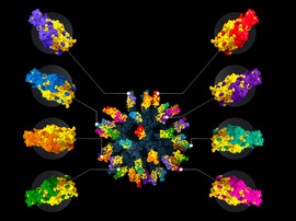 Illustration of nanoparticle vaccine with numerous different colored regions