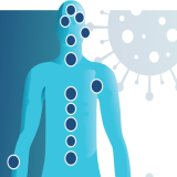 Illustration of human body