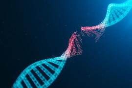 Illustration of DNA helix broken in the middle