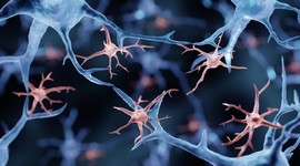 Illustration of microglia among long neuron projections