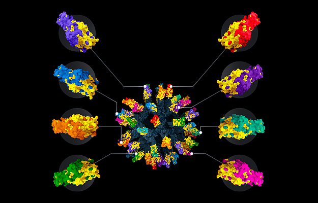 An illustration of a nanoparticle vaccine with numerous different colored regions.