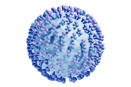 3D illustration of Hepatitis C virus