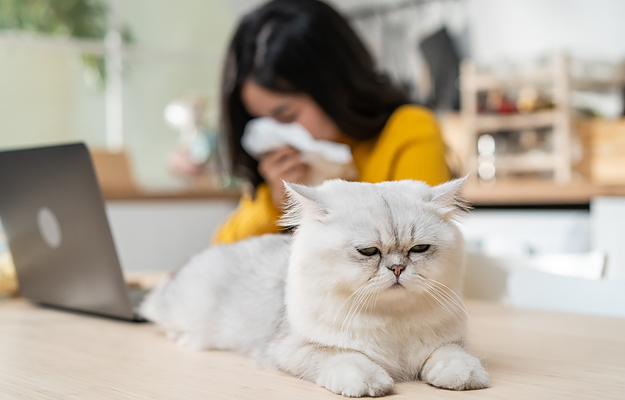 A woman sneezing near a cat.