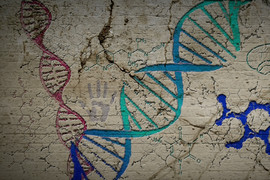 DNA and other molecules painted on an ancient wall