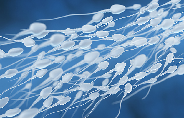 An illustration of sperm swimming toward an egg.