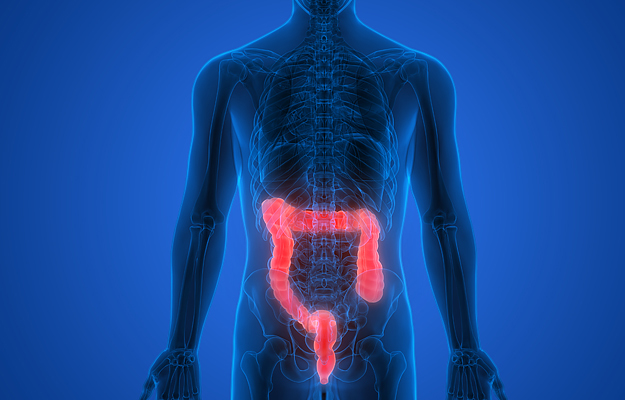 An illustration highlighting a human colon.