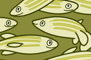 Illustration of a group of zebrafish 