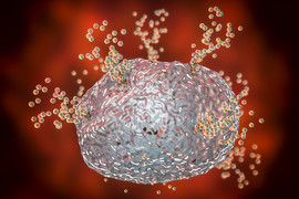 Illustration of a mast cell releasing histamine 