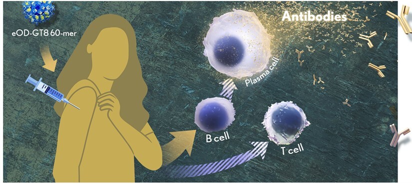 HIV Vaccination illustration