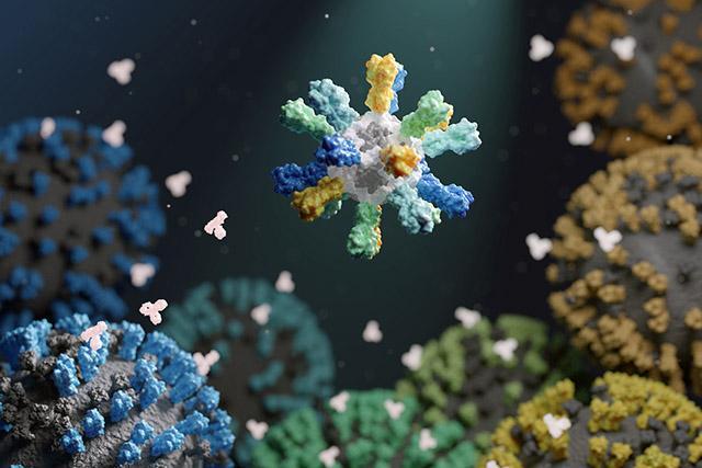 Illustration of a nanoparticle vaccine that contains proteins from many different flu strains. 