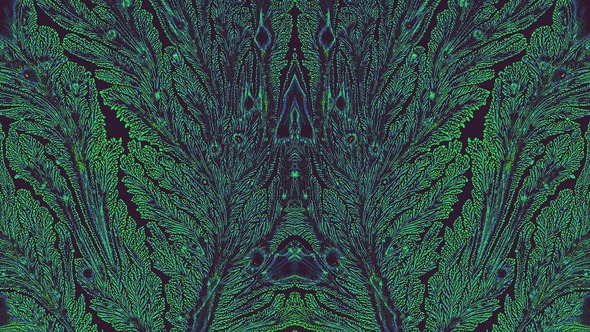 blue and green fractal pattern on a black background reminiscent of peacock feathers