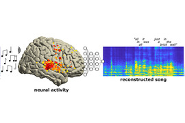 Left, yellow and red dots highlight parts of the brain that showed activity while listening. Right, auditory spectrogram of the reconstructed song.