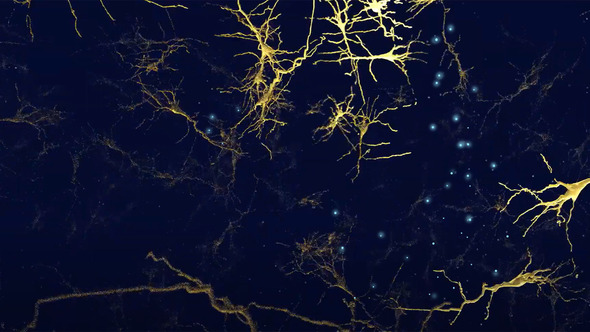 Neuronal signals flush out debris