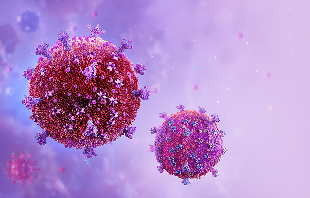 An illustration of the HIV/AIDS virus.