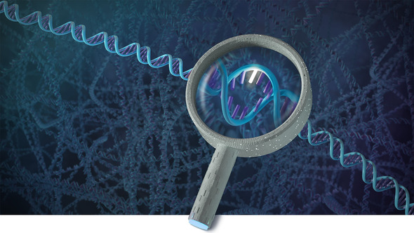 One bad base in DNA is found with a magnifying glass