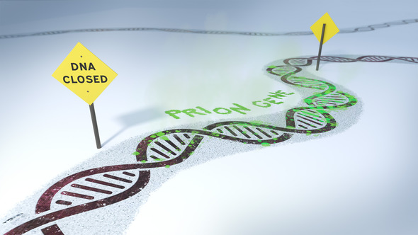 A prion section of the DNA is closed off by road signs