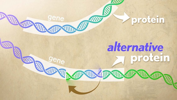 DNA flipping