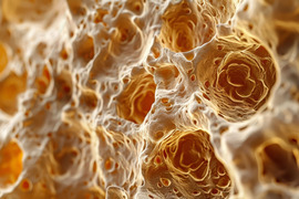 Illustration of healthy bone marrow showing spongy texture and cells within.