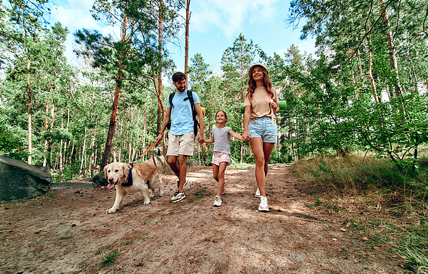 A young family walking their dog on a trail in the woods.
