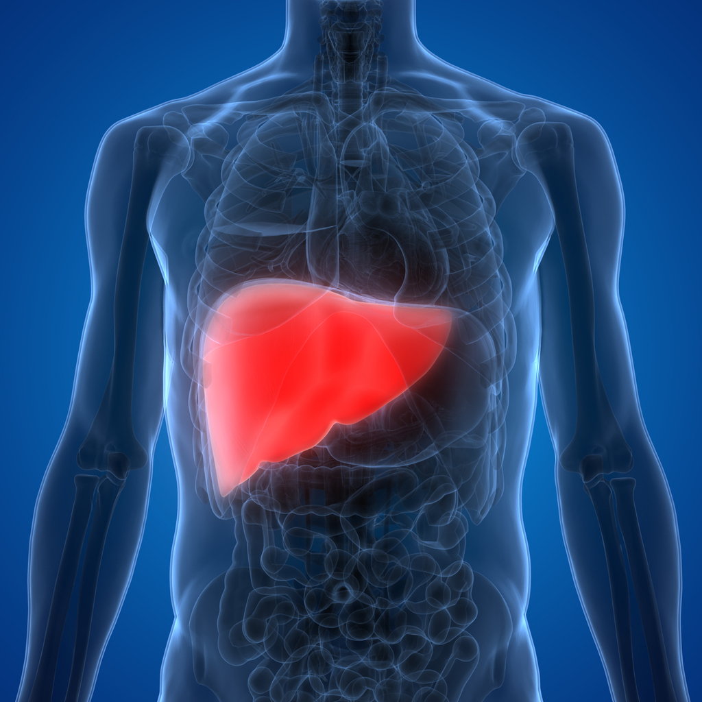 Liver Cancer Clinical Research Study