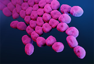 A medical illustration of carbapenem-resistant, Acinetobacter sp. Bacteria.