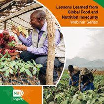 Photos of people working in agricultural settings with the words, "Lessons Learned from Global Food and Nutrition Insecurity Webinar Series" 