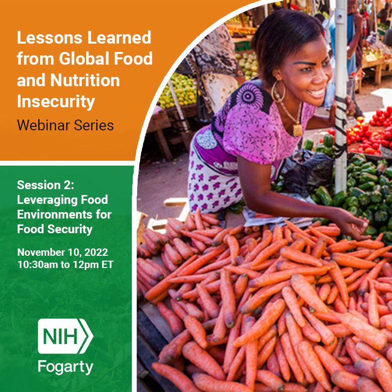 Leveraging Food Environments for Food Security webinar