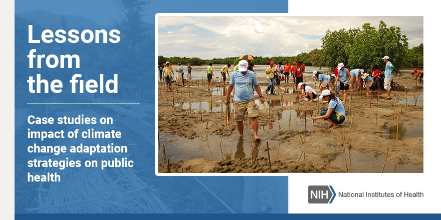 case studies on impact of climate change adaptation strategies on public health