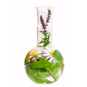 beaker flask herbs natural products