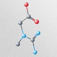 creatine molecular