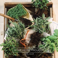 herbs project instagram