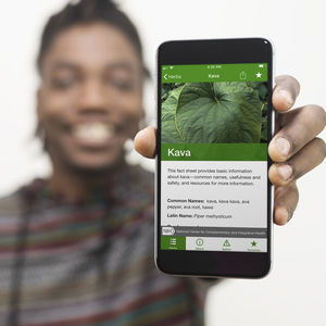 Kava pictured on cell phone